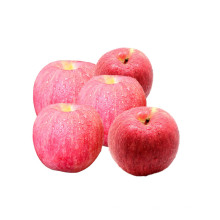 Made In China Wholesale Fresh Fuji Apple Red